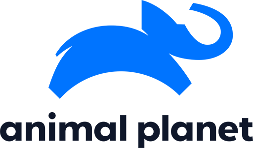 Animal Planet